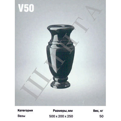 V50 ( ) 